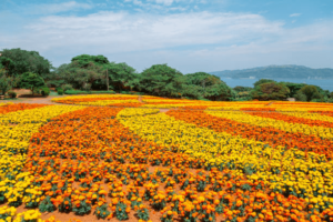 Places for Travelers to Visit in Fukuoka