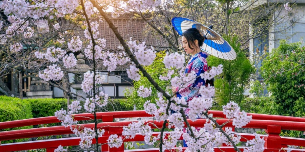 Exploring Japan’s Culture And History In A Campervan