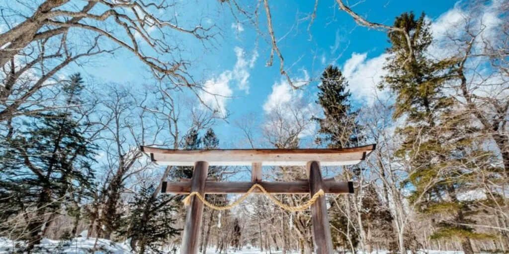 Why a Campervan is Ideal for Solo Travel in Japan During Winter
