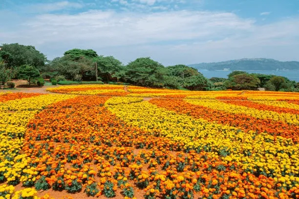 Nokonoshima Island Park