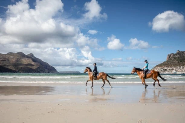 Horse Riding with a Sea View: Coastal Equestrian Adventures